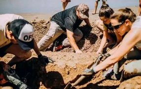 Chapadmalal: Encontraron dos gliptodontes de tres millones de años