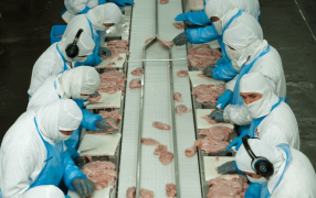 El pollo argentino comienza a volar hacia Corea del Sur y busca expandirse en el mercado árabe