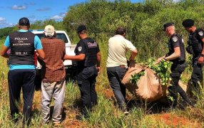 Lo arrestaron por robar casi una tonelada de yerba mate a su vecino, en la localidad misionera de Aristóbulo del Valle