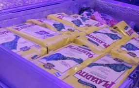 Para silenciar las críticas: La foto que demuestra que la Selección compró yerba Argentina, "hay para todos los gustos"