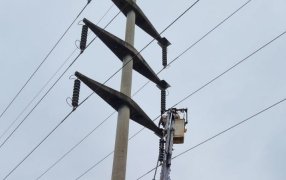 Energía de Misiones protege líneas de alta tensión con mirada sostenible