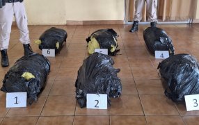 Prefectura Naval Argentina secuestró más de ochenta kilos de marihuana en Misiones