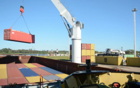Con 262 millones de dólares generados, la provincia de Misiones encabeza el ranking exportador del NEA en 2025, consolida su rol regional y avanza posiciones en lo nacional