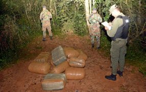 Gendarmería Nacional secuestró más de 340 kilos de marihuana: El estupefaciente se encontraba acopiado en distintos puntos de la localidad misionera de Puerto Esperanza