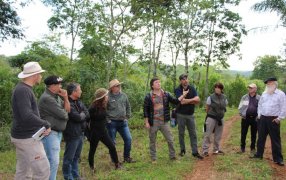 “La agroecología es la herramienta más completa para la actividad yerbatera”