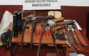 Un arsenal de armas secuestradas y cinco detenidos en operativos rurales