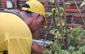 Ante el contexto epidemiológico regional en materia de enfermedades vectoriales: Salud Pública Provincial y el Municipio de Posadas realizan las acciones de prevención y control del vector en distintos puntos de la ciudad