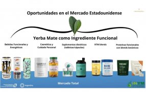 “La yerba mate es energía limpia, bienestar y longevidad, y está lista para convertirse en el ingrediente funcional del futuro”