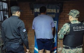 Detuvieron a un individuo de 30 años que mató a un mono carayá en la localidad misionera de Wanda