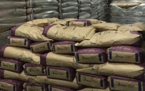 ¿Cómo arrancó el mercado de la leche en polvo en Agosto?