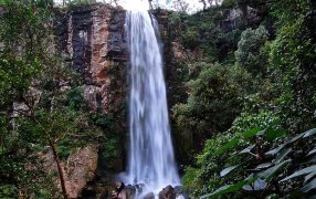 Misiones: Nuevo tarifario para el ingreso a los Parques Provinciales