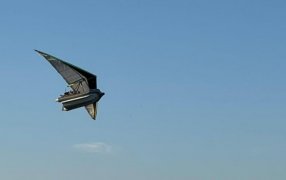 San Isidro: Prefectura Naval Argentina incautó una embarcación voladora