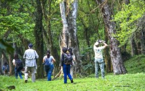 Más de setenta aves registradas en avistaje realizado en las Misiones Jesuíticas de Loreto, con la asistencia de una veintena de participantes