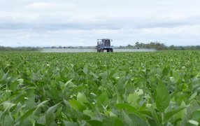 La inflación en el campo: Los insumos suben hasta 234% y los granos solo los corren de atrás