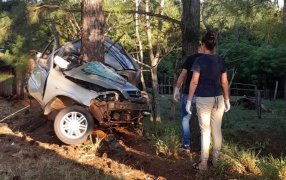 Un hombre de 55 años falleció al despistar y colisionar su automóvil contra un árbol en la Ruta Provincial N° 8 del Municipio misionero de Alba Posse