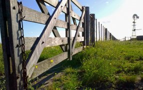 Afirman que el mercado inmobiliario rural pasa su mejor momento en una década