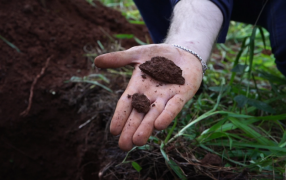 Día Provincial de la Conservación del Suelo Misionero, un recurso estratégico para futuras generaciones