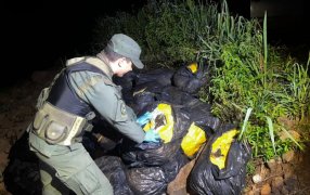 Gendarmes evitaron el tráfico de más de 500 kilos de marihuana: El estupefaciente se encontraba acopiado en una zona montuosa