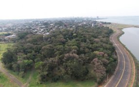 Posadas: El Jardín Botánico “Alberto Roth”, naturaleza, educación y comunidad