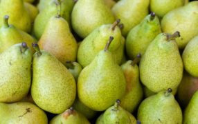 De Enero a Septiembre, las exportaciones de las PyMEs crecieron un 23,5% en dólares y 33,5% en toneladas