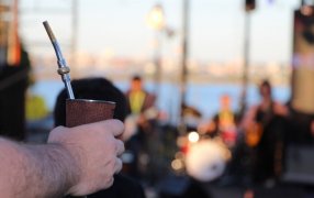 Las ventas de yerba mate superaron los 279 millones de kilos entre Enero y Noviembre