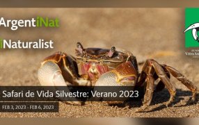 Más de dos mil especies silvestres registradas por la ciudadanía en solo cuatro días en el Safari de Verano de ArgentiNat
