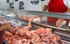 Carne: “El ‘dólar maíz’ se convirtió en un castigo para los consumidores”