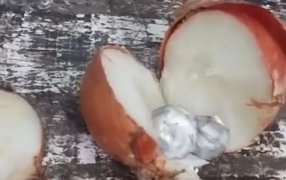 Misiones: Personal de requisa del Servicio Penitenciario Provincial logró frustrar el ingreso de drogas a la Unidad Penal VI, creatividad delictiva, ocultaron drogas en cebollas para burlar controles