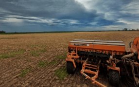 Panorama agrícola: Las continuas lluvias traen mejoras para todos los cultivos