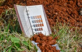 Carta de Suelos de Guaraní: Un avance clave para la agricultura sostenible