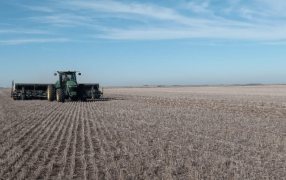 A la par del trigo, la cebada también ya inició la siembra 2024/25