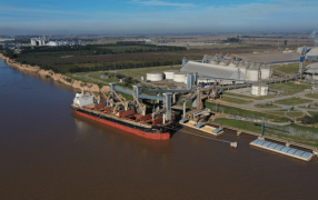 Sin sorpresas, la soja lideró las exportaciones del agro durante Mayo