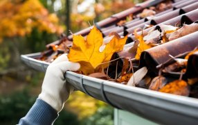 Fuera hojas, hola canaletas limpias: Detrás de los problemas de humedad, filtraciones y obstrucciones, hay soluciones posibles, el cuidado y la limpieza