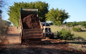 Mejoras en los caminos rurales del Municipio misionero de Apóstoles: Los trabajos incluyen la ampliación, reacondicionamiento y perfilado de las arterias