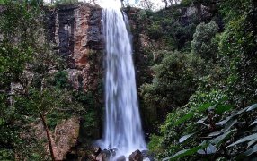 Misiones: Desde el 1° de Enero, rige nuevo cuadro tarifario en los Parques Provinciales