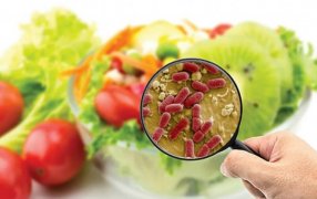 Mantener la cadena de frío de los alimentos para prevenir enfermedades durante el verano