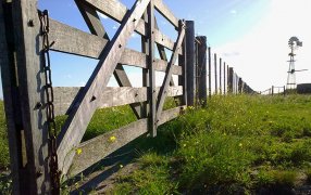 Anticipan un 2024 favorable para el mercado inmobiliario rural