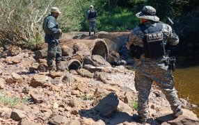 Policías Ambientales de la provincia de Misiones desmantelaron dos campamentos ilegales de caza furtiva