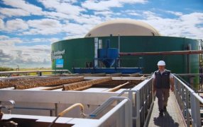 ¿Qué hacer con los residuos de los frigoríficos?: crece el aprovechamiento del compost mediante biodigestores