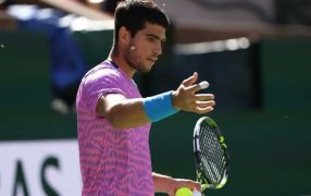 Tenis: Insólito momento en Indian Wells, invasión de abejas en el partido entre Alcaraz y Zverev