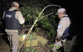 Valuada en más de 100 millones de pesos: Prefectura Naval Argentina secuestró más de 120 kilos de marihuana en Corrientes