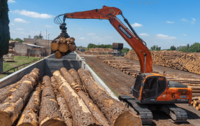 Con el Mercosur como guía, Argentina busca jugar en las grandes ligas del negocio forestal
