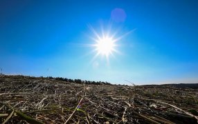 Con una Niña tenue de regreso habrá que analizar el escenario de siembra gruesa