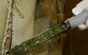 Más de veinte marcas de yerba mate en el mercado con el singular sello "Indicación Geográfica" Yerba Mate Argentina