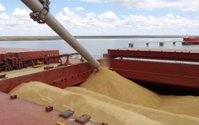 Agroexportadores liquidaron en Enero 60% menos de soja que el año pasado