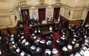 En una votación reñida: El Senado aprobó la continuidad de la Jueza Ana María Figueroa