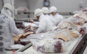 Europa e Israel elevan sus compras y las exportaciones de carne argentina consolidan su crecimiento