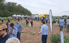 Córdoba: Llega el III Encuentro Nacional sobre producción con Biológicos y estrategias sustentables