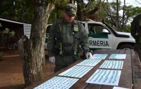 Llevaba pastillas de éxtasis ocultas dentro de su automóvil: El conductor fue detenido por el hecho