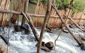 Policías y Guardaparques de la provincia de Misiones realizaron rastrillajes en cauces de arroyos y desarmaron estructuras de “Trampas París”